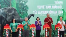 Khai mạc Tuần lễ Bảo tồn voi năm 2025