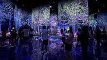 Khám phá “thiên đường ánh sáng” kỳ ảo teamLab Planets ở Tokyo