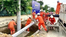 Ứng phó bão số 9: Điện lực miền Bắc triển khai các phương án khẩn cấp