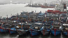 Tàu thuyền ngư dân miền Trung về neo đậu tránh bão số 10 tại Âu thuyền Thọ Quang