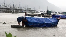 Ứng phó bão số 10: Nghệ An di dời hàng trăm hộ dân