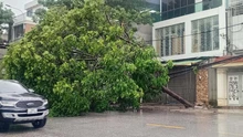 Bão số 10: Thanh Hóa 1 người chết kèm nhiều thiệt hại nặng nề