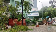 Bão số 10 gây ngập lụt, đỗ gãy nhiều cây xanh tại Thanh Hóa