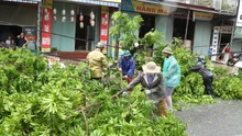 Bão số 10: Ninh Bình thiệt hại nặng nề về người do xoáy lốc gây ra
