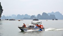 Từ Quảng Ninh đến Đắk Lắk chủ động ứng phó với bão số 7