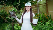 Hoa hậu Trần Thị Mỹ Linh phát động phong trào xanh tại quê nhà