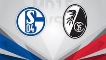 Dự đoán nhà cái Schalke vs Freiburg. Nhận định, dự đoán bóng đá Bundesliga (23h30, 30/10)