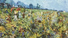 Bày tranh của danh họa Van Gogh tại Australia: Khách tham quan kỷ lục