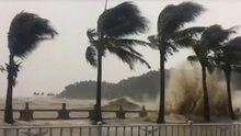 VIDEO: Siêu bão Hato nhấn chìm Trung Quốc trong biển nước
