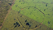 Giải mã những hình thù bí ẩn tại vùng rừng Amazon hàng nghìn năm trước