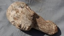 Phát hiện tượng gỗ hình đầu người có niên đại 4.000 năm tại Ai Cập