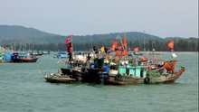 Cứu nạn 6 thủy thủ tàu cá bị chìm trên vùng biển Ninh Thuận ngay trước bão số 15