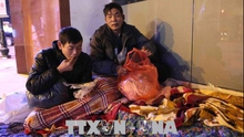 Người vô gia cư tại Hà Nội chống chọi với cái rét thấu da