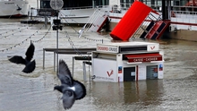 Cảnh sông Seine vỡ bờ, Thủ đô Paris chìm trong nước