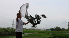 Về thăm làng 'phóng điểu' huấn luyện chim bồ câu nổi tiếng đất Kinh Bắc