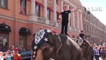 VIDEO: Diễu hành voi kỷ niệm 315 năm thành phố St. Petersburg