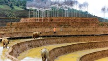 Gặp lại 'huyền thoại' thiết kế cảnh quan Andy Cao