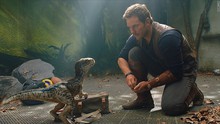 'Jurassic World: Fallen Kingdom': Tương lai nào cho loài khủng long trong điện ảnh?