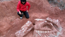 Argentina phát hiện hóa thạch khủng long có niên đại hơn 200 triệu năm
