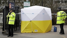 Tổng thống Nga Putin chỉ trích cáo buộc 'vô căn cứ' của Anh liên quan các vụ đầu độc
