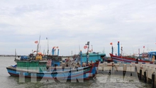 Tất cả tàu thuyền trên biển của tỉnh Thanh Hóa đã vào nơi tránh trú an toàn