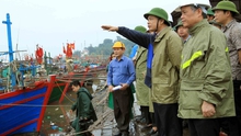 Bộ trưởng Nguyễn Xuân Cường kiểm tra công tác chống bão số 4 tại Đồ Sơn