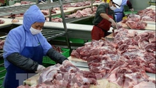 Từ ngày 20/9 sẽ tạm dừng nhập khẩu thịt lợn từ Ba Lan và Hunggary vào Việt Nam