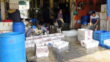 Vụ 'bảo kê' tại chợ Long Biên: Tạm đình chỉ một Phó Ban quản lý