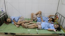 Ninh Bình: 50% số học sinh nghi ngộ độc thực phẩm đã xuất viện
