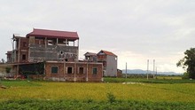 Hải Phòng: Thu hồi 194,09 ha đất vi phạm pháp luật về đất đai