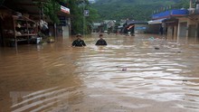 Việt Nam ở top 10 nước bị ảnh hưởng nhiều nhất của biến đổi khí hậu