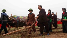 Phó Thủ tướng Thường trực Chính phủ Trương Hòa Bình thực hiện nghi lễ cày tịch điền