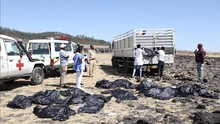 Vụ tai nạn máy bay Ethiopia: Ít nhất 12 nhân viên LHQ thiệt mạng