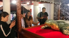 Tiết lộ về 'siêu' tủ kính bảo vệ cụ rùa hồ Gươm tại đền Ngọc Sơn