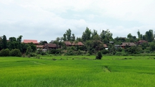 'Hồ Đại tướng' tắm mát ruộng đồng Mường Phăng