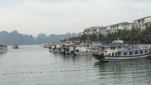 Du lịch Việt Nam: Hiệu quả mô hình 'xe bus' trên vịnh Hạ Long