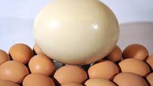 Truyện cười bốn phương: Người đẻ trứng
