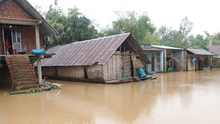 Biến đổi khí hậu: Việt Nam nằm trong 6 nước chịu thiệt hại nặng nề nhất trong 20 năm qua