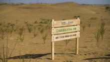 Sa mạc hóa - thách thức môi trường nghiêm trọng toàn cầu