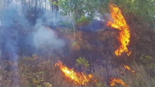 Cháy rừng tại Hà Tĩnh có thể là do người dân đốt hương