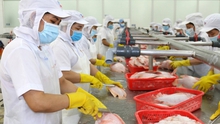 Giới chuyên gia: Việt Nam vẫn là 'mắt xích' quan trọng trong chuỗi cung ứng toàn cầu