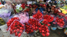 Giá hoa hồng Đà Lạt cho ngày Valentine tăng gấp từ 2-3 lần