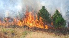 Hà Nội hửng nắng, Tây Nguyên Nam Bộ nắng nhiều nguy cơ cháy rừng cao