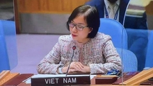 Việt Nam tái khẳng định ủng hộ giải trừ quân bị, không phổ biến vũ khí hạt nhân