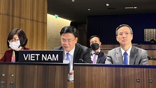 Việt Nam tham dự Hội đồng chấp hành lần thứ 214 của UNESCO