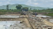 Hội thảo báo cáo sơ bộ kết quả khai quật đường Hoàng Gia nội thành Di sản thế giới Thành nhà Hồ
