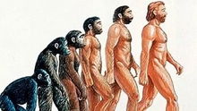 Tổ tiên lâu đời nhất của loài người đã đứng thẳng và đi bằng hai chân cách đây 7 triệu năm