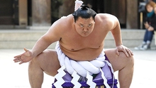 Khi nhà vô địch sumo cũng mắc Covid-19