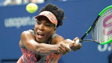 Chờ Venus Williams tái hiện lịch sử ở US Open
