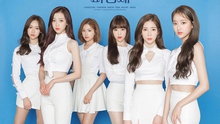 Nhóm nhạc April, những cô gái ngọt ngào của K-pop diễn tại Hà Nội